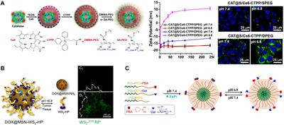 Recent Developments in Pathological pH-Responsive Polymeric Nanobiosensors for Cancer Theranostics